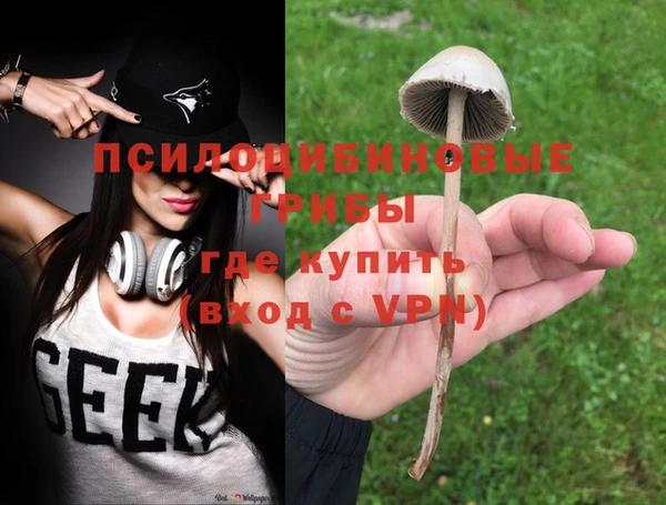 прущая мука Абдулино